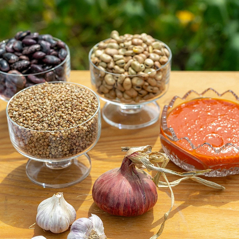 'Zemlja je živa stvar, s katero je treba sodelovati'