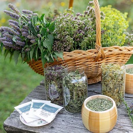 Zdravilna moč zelišč: Zakaj so znova postala hit v...