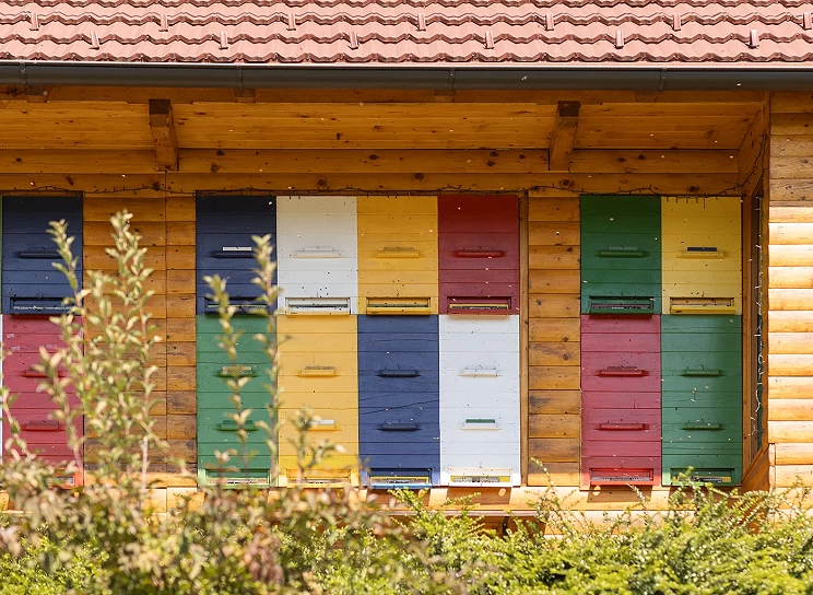 Štartaj Slovenija