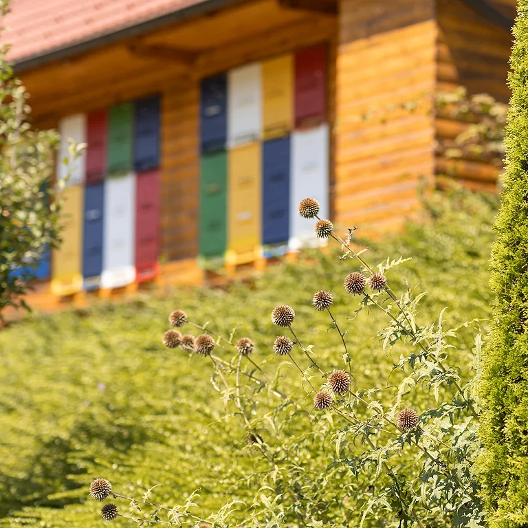 Slovensko kmetijstvo: spremembe so na obzorju
