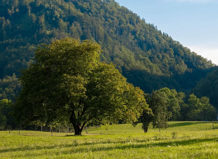 Štartaj Slovenija Štartaj Slovenija